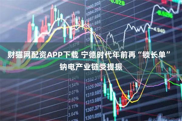 财猫网配资APP下载 宁德时代年前再“锁长单” 钠电产业链受提振