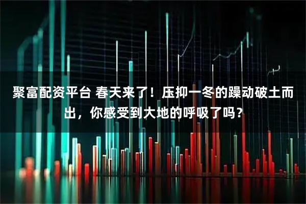 聚富配资平台 春天来了！压抑一冬的躁动破土而出，你感受到大地的呼吸了吗？