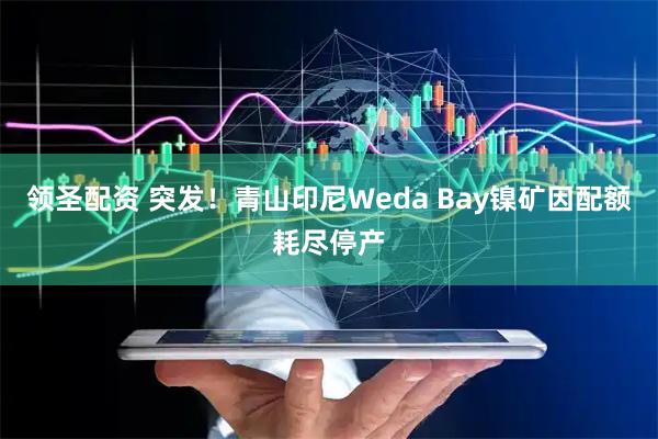 领圣配资 突发！青山印尼Weda Bay镍矿因配额耗尽停产